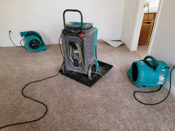 Best Water damage restoration near me  in South Yarmouth, MA