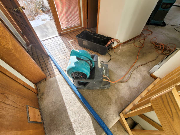 Best 24/7 water damage repair  in South Yarmouth, MA